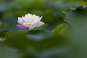 G407dce224174b34f0f93f0c3a42eb1c2da4d63f4063929d3ae20fcb2cde0698ef1255affa9cea82ec27e567d5a12f1328e5045216a7924d89f985dbd8aeb2bc0 640